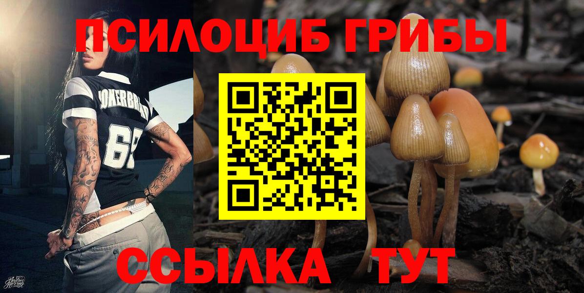 Киселёвск  Псилоцибиновые грибы мицелий  Вход с VPN  где купить наркоту  Галлюциногенные грибы прущие грибы 